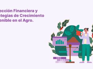 Proyección Financiera.jpg